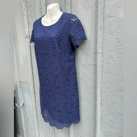 Ann Taylor Lace Shift Dress, Navy, size 10 - Picture 5 of 11